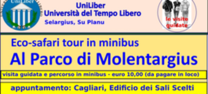 Visita al Parco di Molentargius in minibus