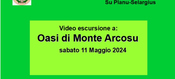 Video escursione Monte Arcosu